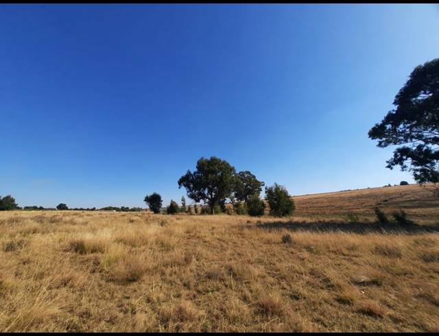 LAND FOR SALE IN HILLSIDE